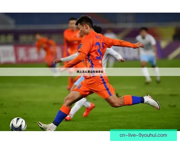 足球直播雷霆全景解析赛事看点与实时互动新体验平台优势与球迷狂欢指南